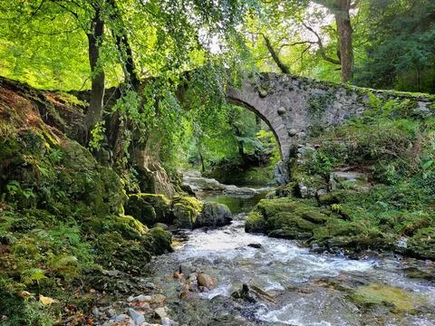 Foley's Bridge Foto stock