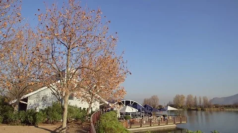 Foliage and lake Stock Footage