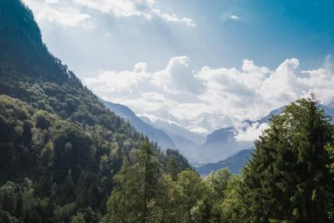 Foliage and light beam in the Alps, Switzerland. Stock Photos