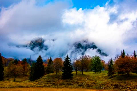 Foliage and mountains five Stock Photos