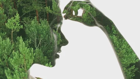 Foliage face double exposure silhouette woman Stock Footage 295170222