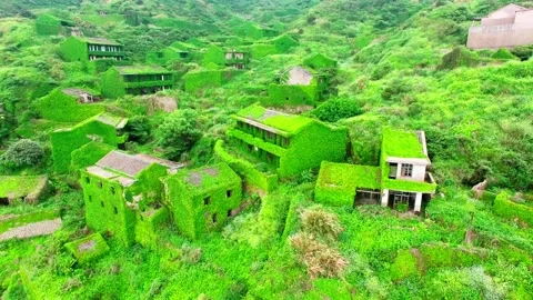Foliage Fantasy: A Drone's View of the Overgrown Village Stock Footage 237082117