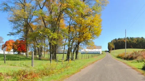 Foliage at the farm 動画素材 239694188