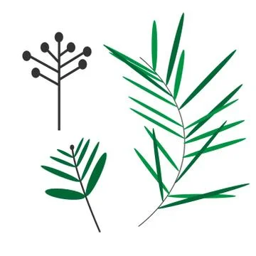 Foliage flat illustration on white Stock Illustration