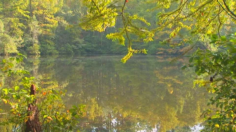 Foliage Framed Pond Scene Stock Footage 33604199