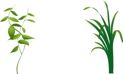 Foliage Stock Illustration
