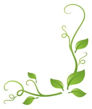 Foliage Stock Illustration