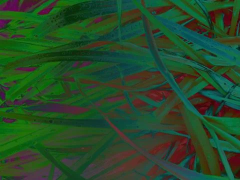 Foliage Stock Illustration