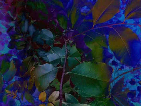 Foliage Stock Illustration