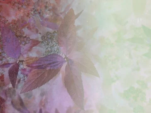 Foliage Stock Illustration