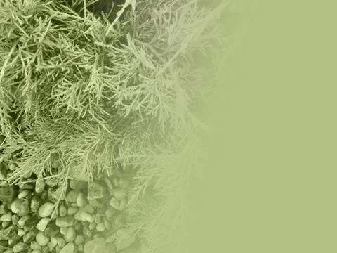 Foliage Stock Illustration