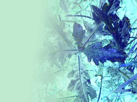 Foliage Stock Illustration