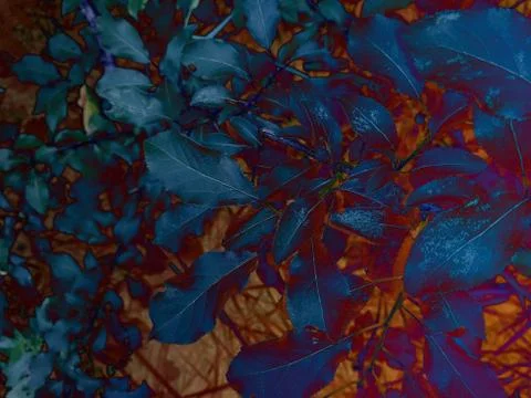 Foliage Stock Illustration