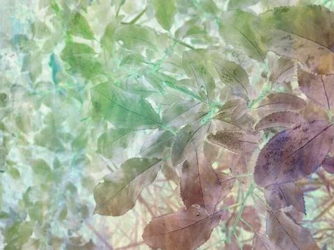 Foliage Stock Illustration