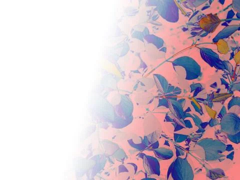 Foliage Stock Illustration