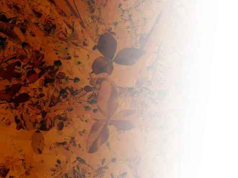 Foliage Stock Illustration