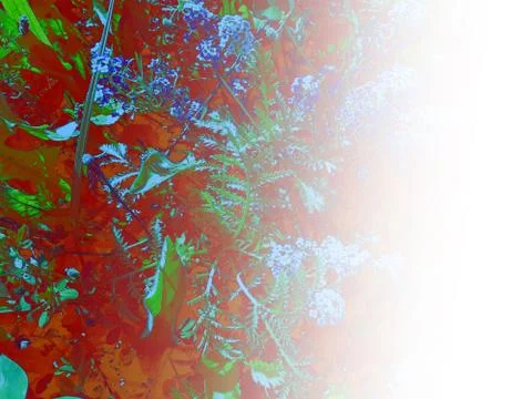 Foliage Stock Illustration