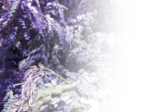 Foliage Stock Illustration