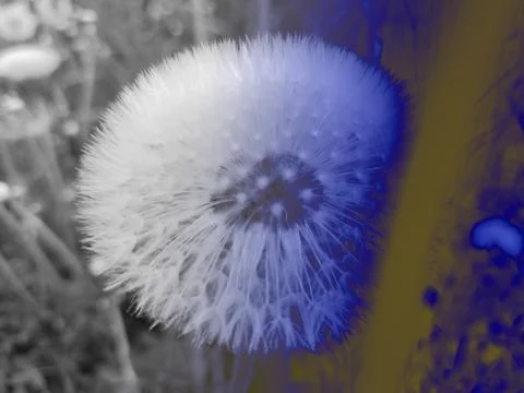 Foliage Stock Illustration