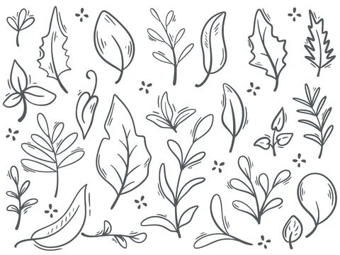 Foliage ink doodle set vector graphic Stock Illustration