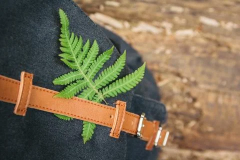 Foliage leaf on anstrap backpack. Concept of lifestyle and adventure in vacat Stock Photos