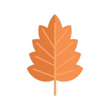 Foliage leaf icon flat vector. Autumn fall 스톡 일러스트