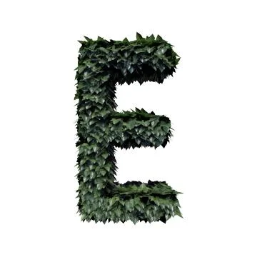 Foliage Letter E Stock Illustration