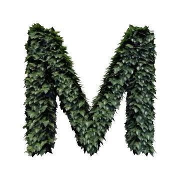 Foliage Letter M Stock Illustration