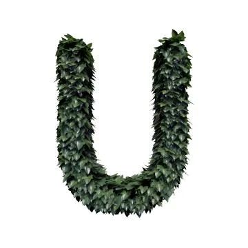 Foliage Letter U Illustrazione stock