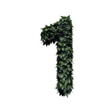 Foliage Number 1 Stock Illustration