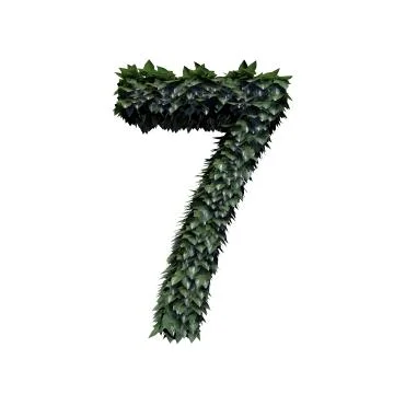 Foliage Number 7 Stock Illustration