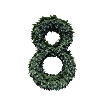 Foliage Number 8 Stock Illustration