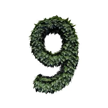 Foliage Number 9 Stock Illustration