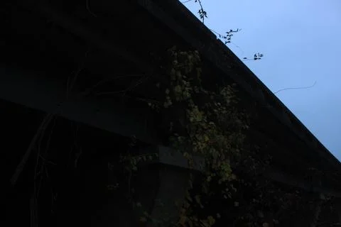 Foliage on the Overpass Stock Photos