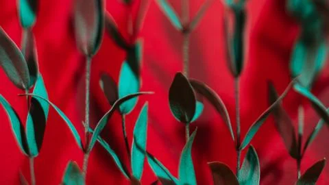 Foliage pattern design green stems red background Stock Photos