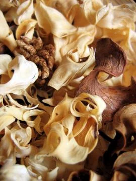 Foliage Stock Photos