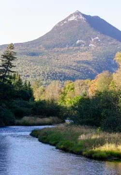 Foliage river mountain Stock Photos