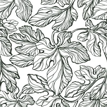 Foliage seamless pattern. Vector texture leaf. Botanical art hand drawn vinta 스톡 일러스트