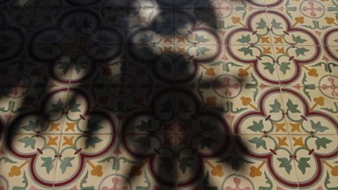 Foliage shadows Stock Footage 251699769