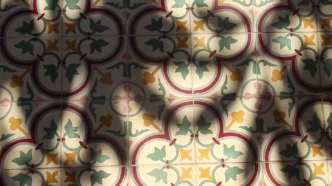 Foliage shadows Stock Footage 251699800