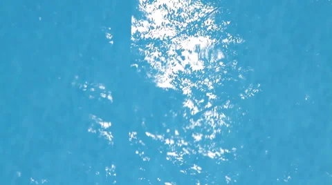 Foliage Shadows in Pool Video stock 42012038