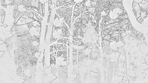 Foliage Sketch With Effect Of Falling At Black White On The Front Viewing Stock Footage 91357715