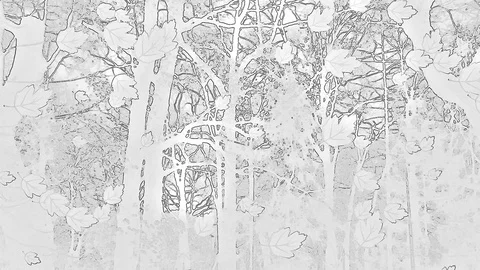 Foliage Sketch With Effect Of Falling At Monochrome On The Front Viewing Stock Footage 91357717