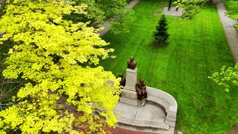 Foliage - Syracuse, NY Vídeos de archivo 336227419