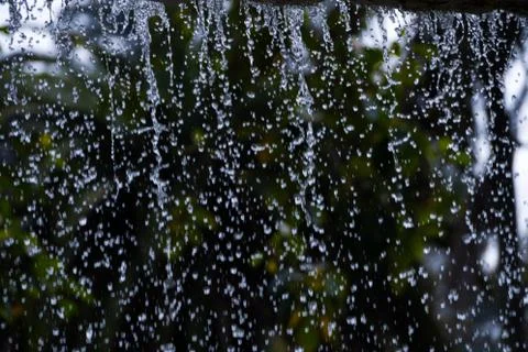 Foliage through waterfall Stock Photos