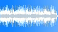 Folk Acoustic background Banjo and Accordion Stock Music