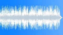 Folk Acoustic Country Western Boogie with piano and harmonicaStock Music