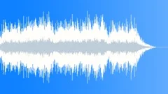 Folk acoustic guitars Stock Music