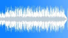 Folk Acoustic Romantic Journey Stock Music