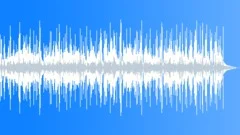 Folk Country - Tire Swing No 02 - Mandolin Solo 212 B 65 bpm Stock Music